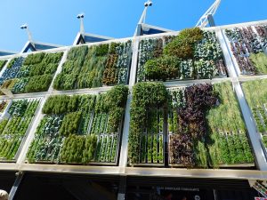 Giardini verticali, la nuova moda che fa bene all'ambiente