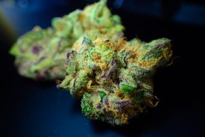 Cannabis e cannabinoidi, non solo THC e CBD